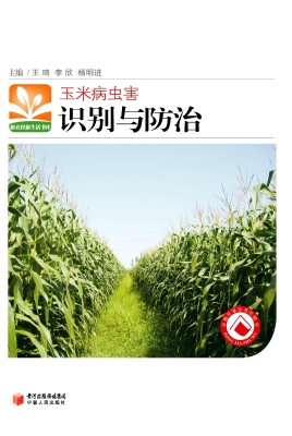 玉米病虫害识别与防治
