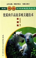 优质肉羊高效养殖关键