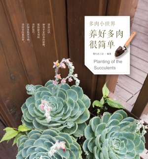 养好多肉很简单