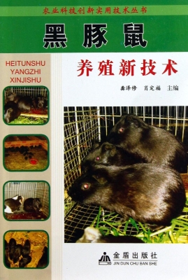 黑豚鼠养殖新技术