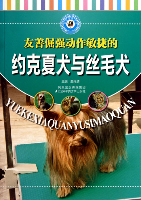 友善倔强动作敏捷的约