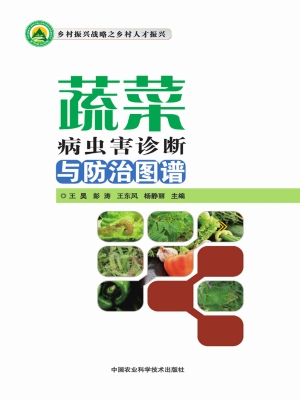 蔬菜病虫害诊断与防治
