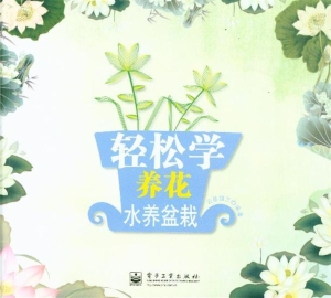 轻松学养花——水养盆