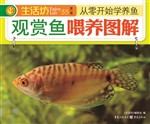 观赏鱼喂养图解