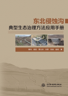 东北侵蚀沟典型生态治