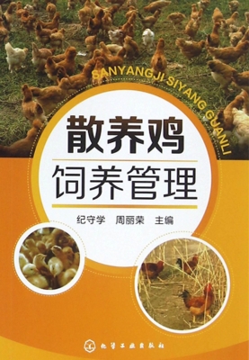 散养鸡饲养管理