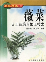 薇菜人工栽培与加工技
