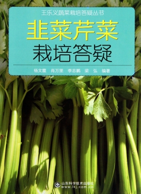 韭菜芹菜栽培答疑