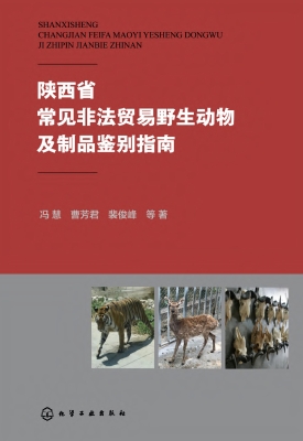 陕西省常见非法贸易野