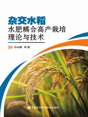 杂交水稻水肥耦合高产