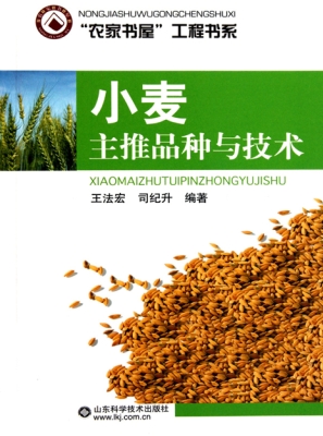 小麦主推品种与技术