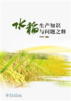 水稻生产知识与问题之
