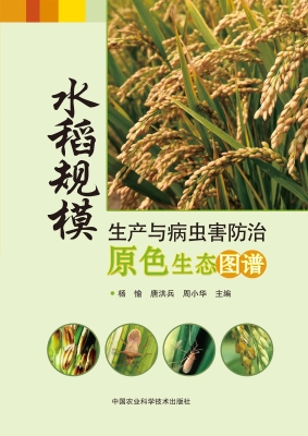 水稻规模生产与病虫害