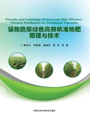 设施蔬菜绿色高效精准