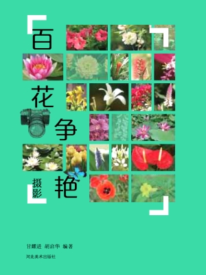百花争艳摄影