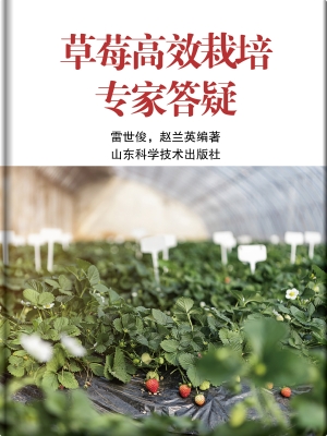 草莓高效栽培专家答疑