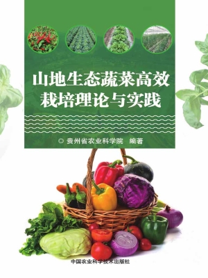 山地生态蔬菜高效栽培