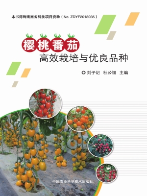 樱桃番茄高效栽培与优
