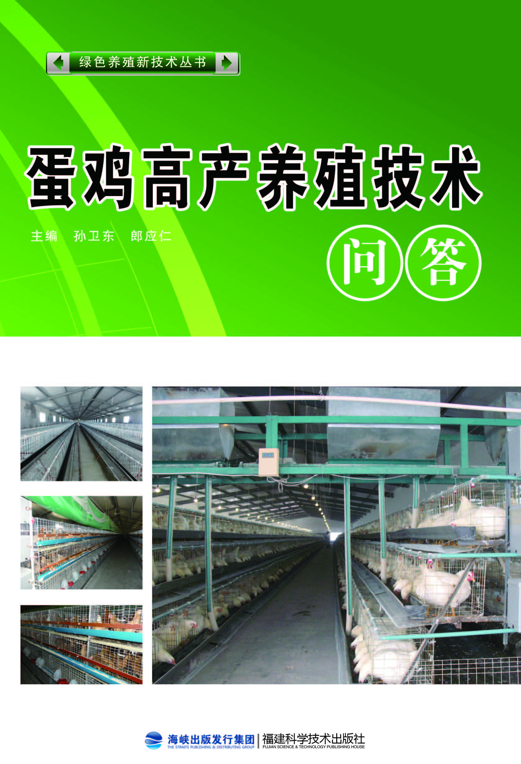 蛋鸡高产养殖技术问答