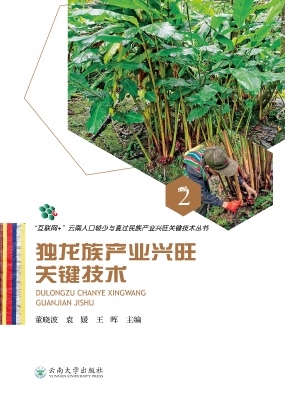 独龙族产业兴旺关键技