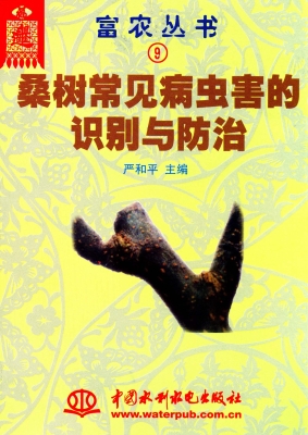 桑树常见病虫害的识别