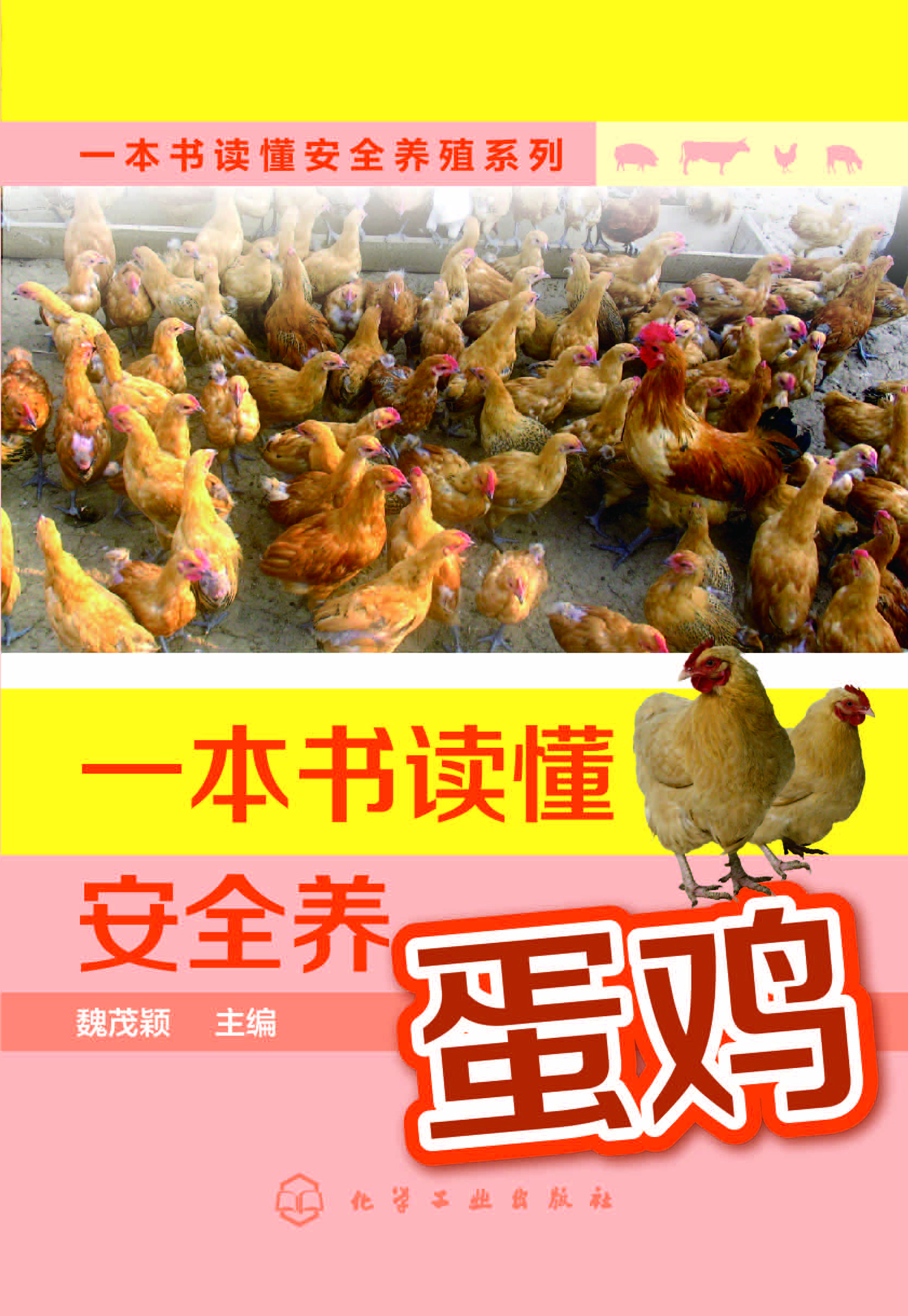一本书读懂安全养蛋鸡