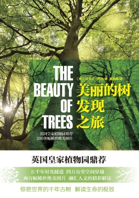 美丽的树发现之旅