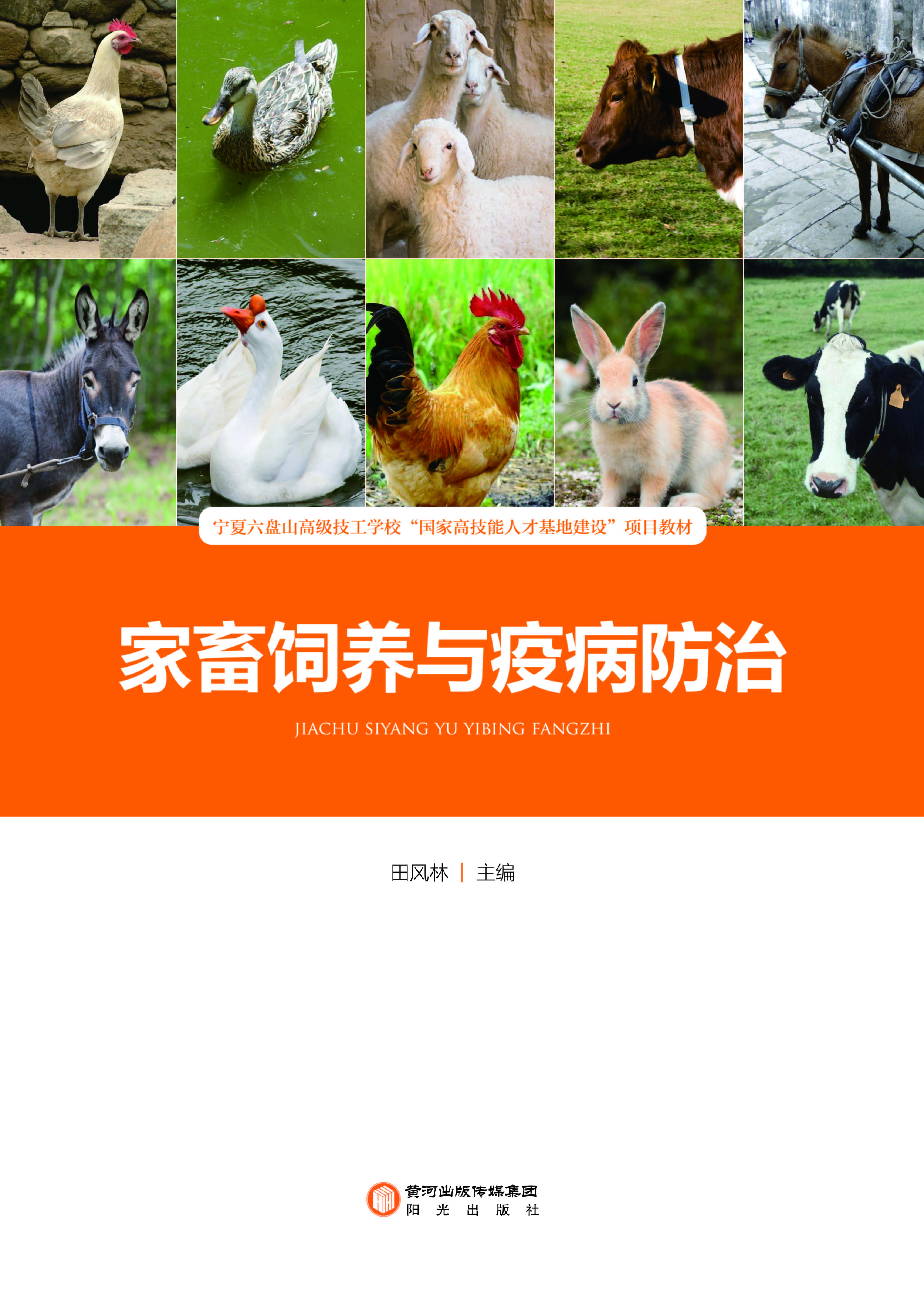 家畜饲养与疫病防治