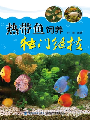 热带鱼饲养独门绝技