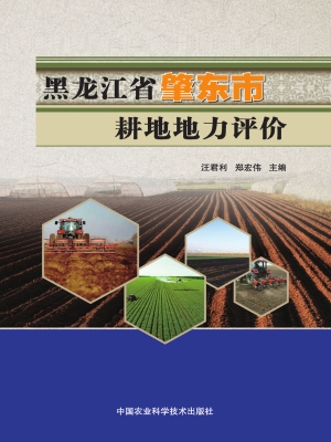黑龙江省肇东市耕地地
