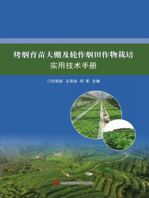烤烟育苗大棚及轮作烟