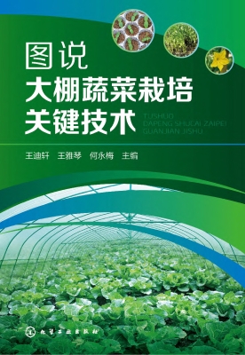 图说大棚蔬菜栽培关键