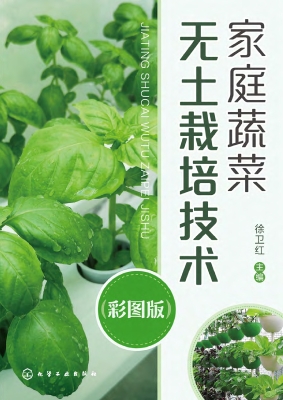 家庭蔬菜无土栽培技术