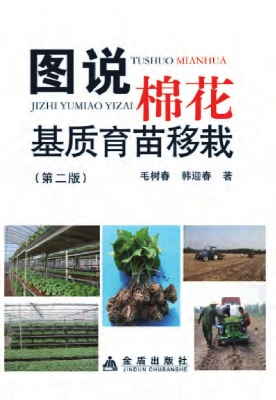 图说棉花基质育苗移栽