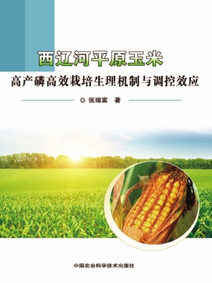 西辽河平原玉米高产磷