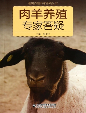 肉羊养殖专家答疑