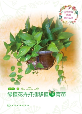 绿植花卉扦插移植与育