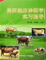 兽医临床诊断学实习指