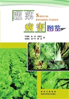 蔬菜病害图鉴