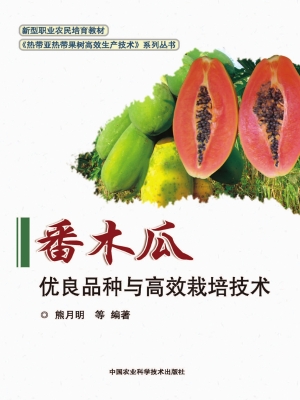 番木瓜优良品种与高效