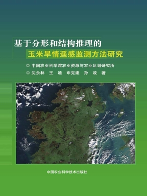 基于分形和结构推理的