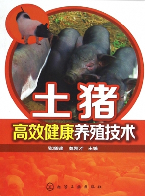 土猪高效健康养殖技术