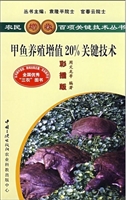 甲鱼养殖增值20%关键