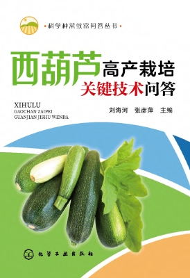 西葫芦高产栽培关键技