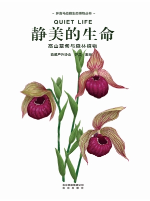 静美的生命——高山草