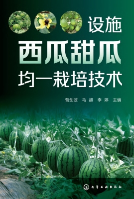 设施西瓜甜瓜均一栽培