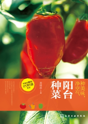 种美味、净空气——阳