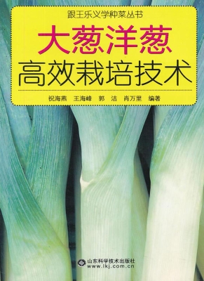 大葱洋葱高效栽培技术
