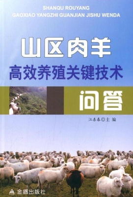 山区肉羊高效养殖关键