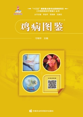 鸡病图鉴